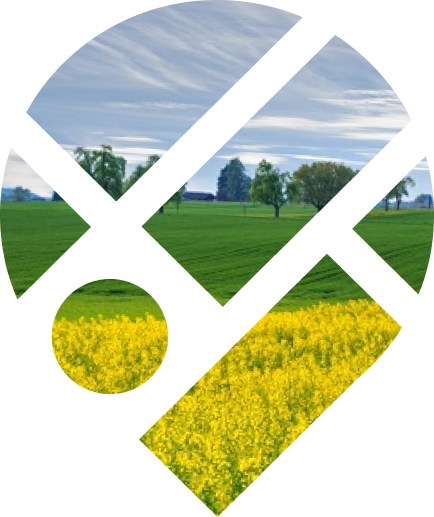 Champ d'agriculture verte