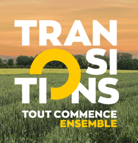Logo Transitions