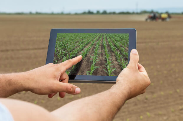 Une personne qui montre des champs d'agriculture verte sur une tablette, des champs sont aussi présents en fond