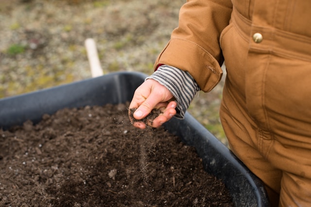 Essais de sol pour les plantations