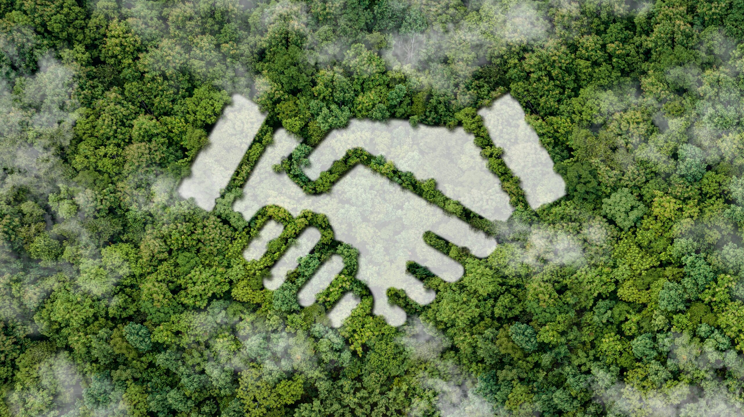 Entreprise, concept,Investir, dans, l’environnement,Social,Et, gouvernance.